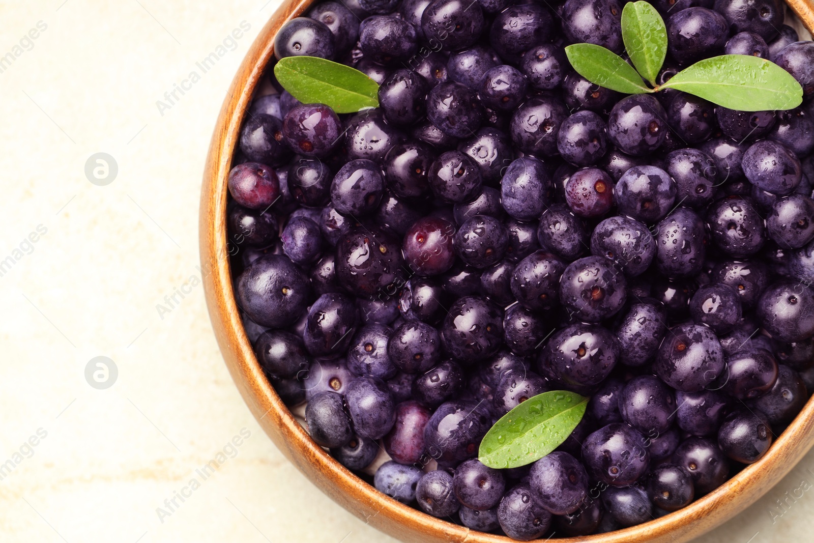 Photo of Ripe acai berries and leaves in bowl on light table, top view. Space for text