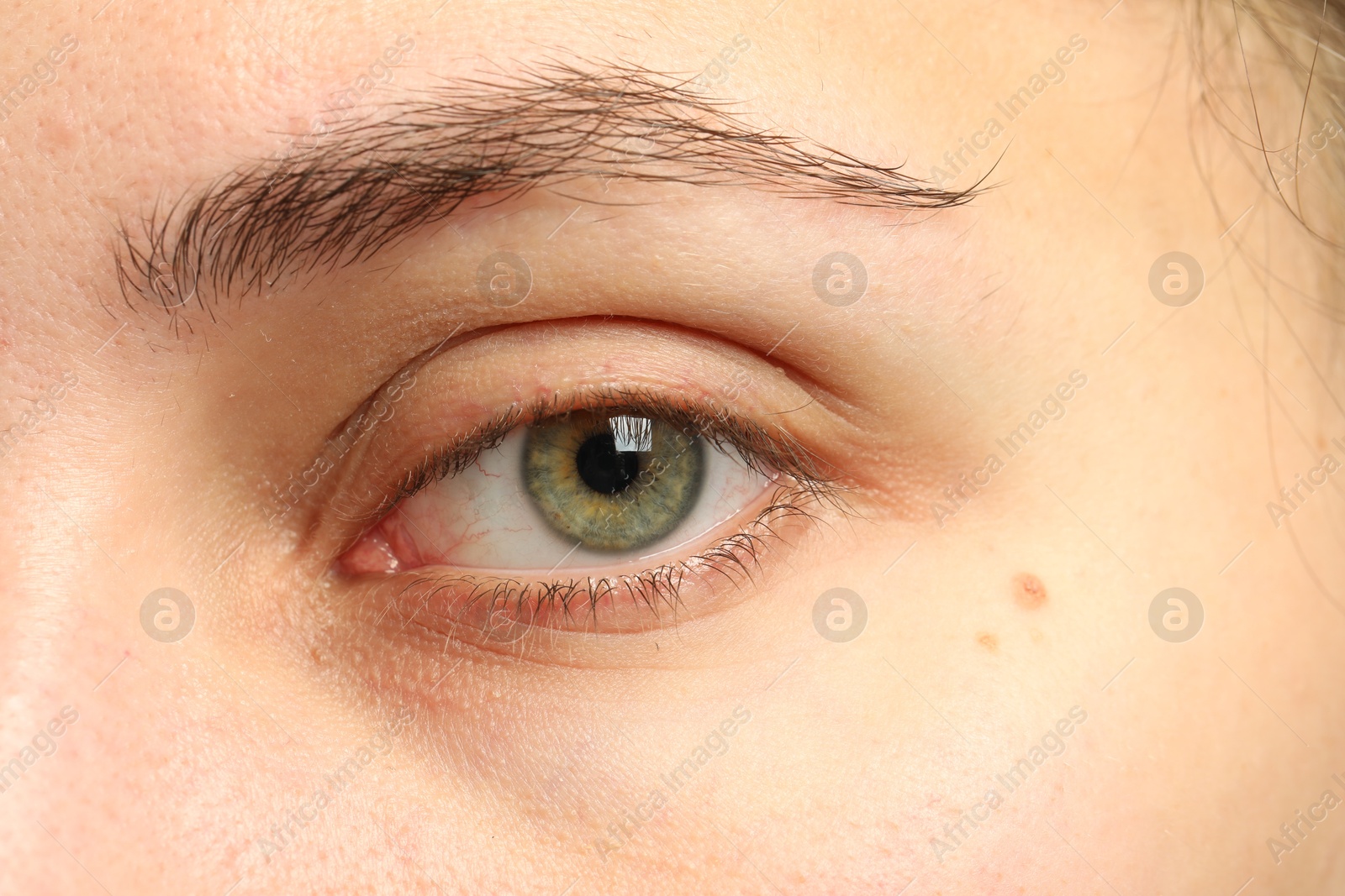 Photo of Macro view of young woman with beautiful eyes