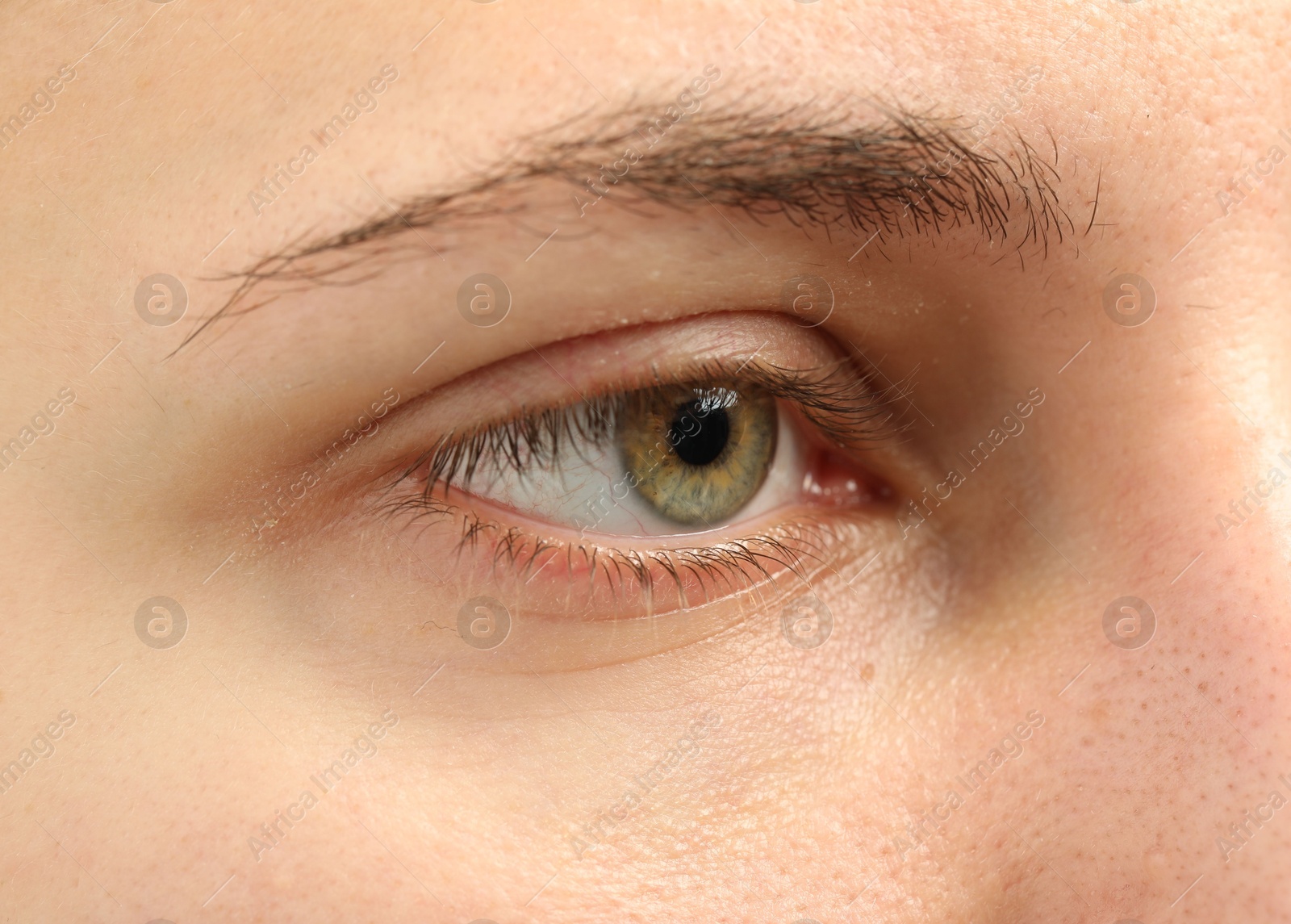 Photo of Macro view of young woman with beautiful eyes