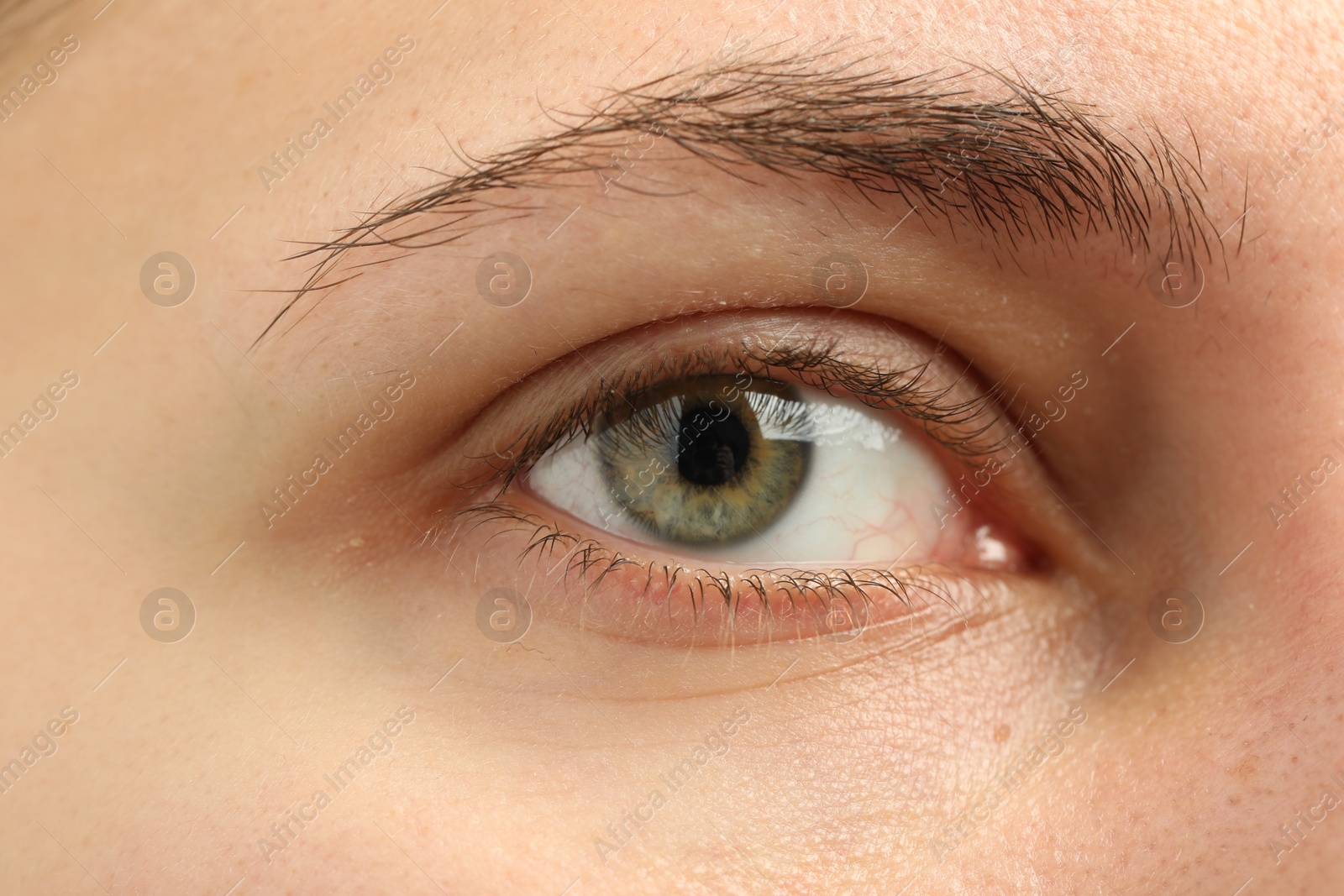 Photo of Macro view of young woman with beautiful eyes