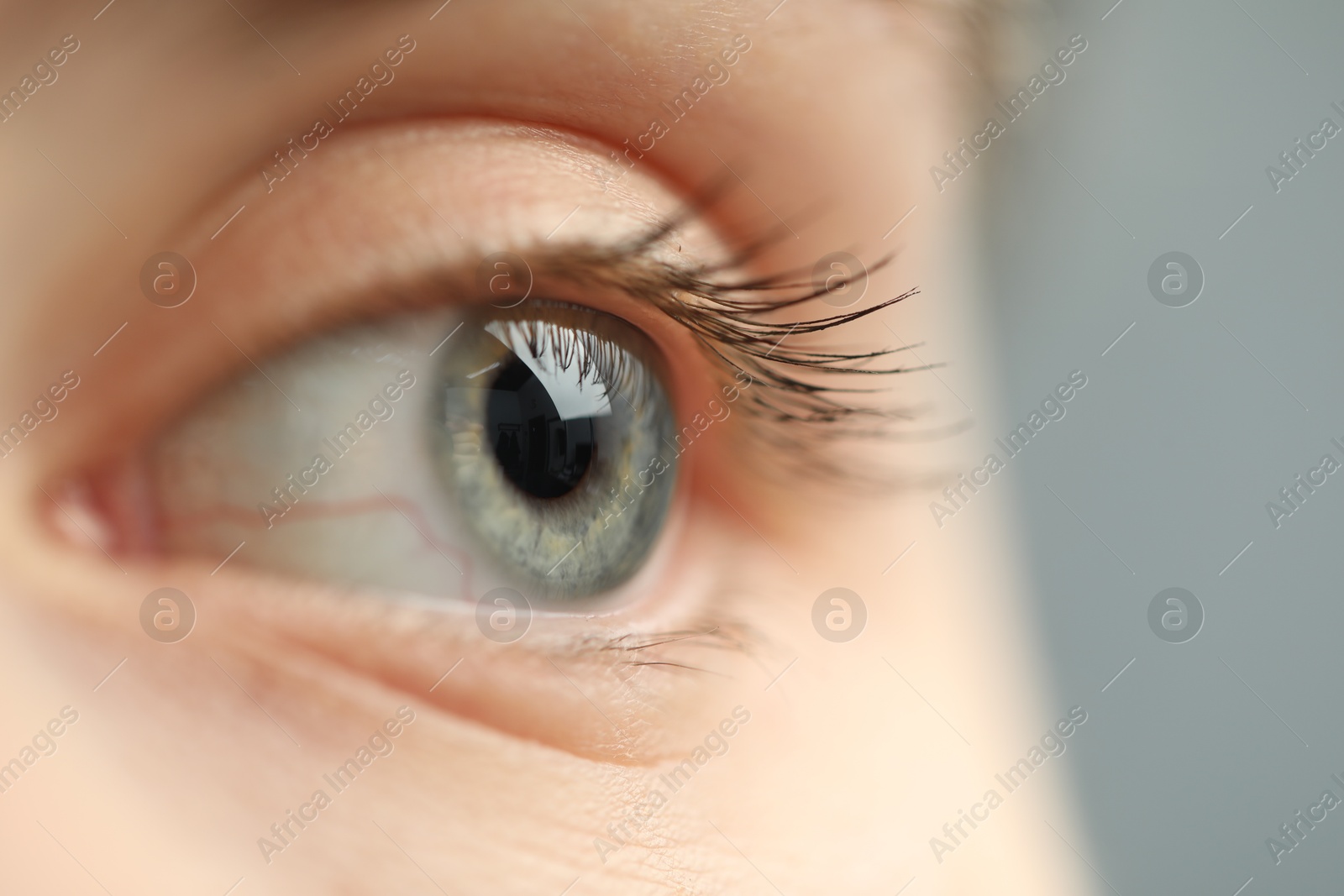 Photo of Macro view of young woman with beautiful blue eyes on grey background