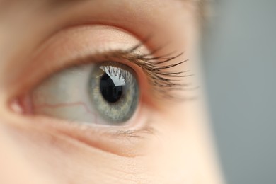 Macro view of young woman with beautiful blue eyes on grey background