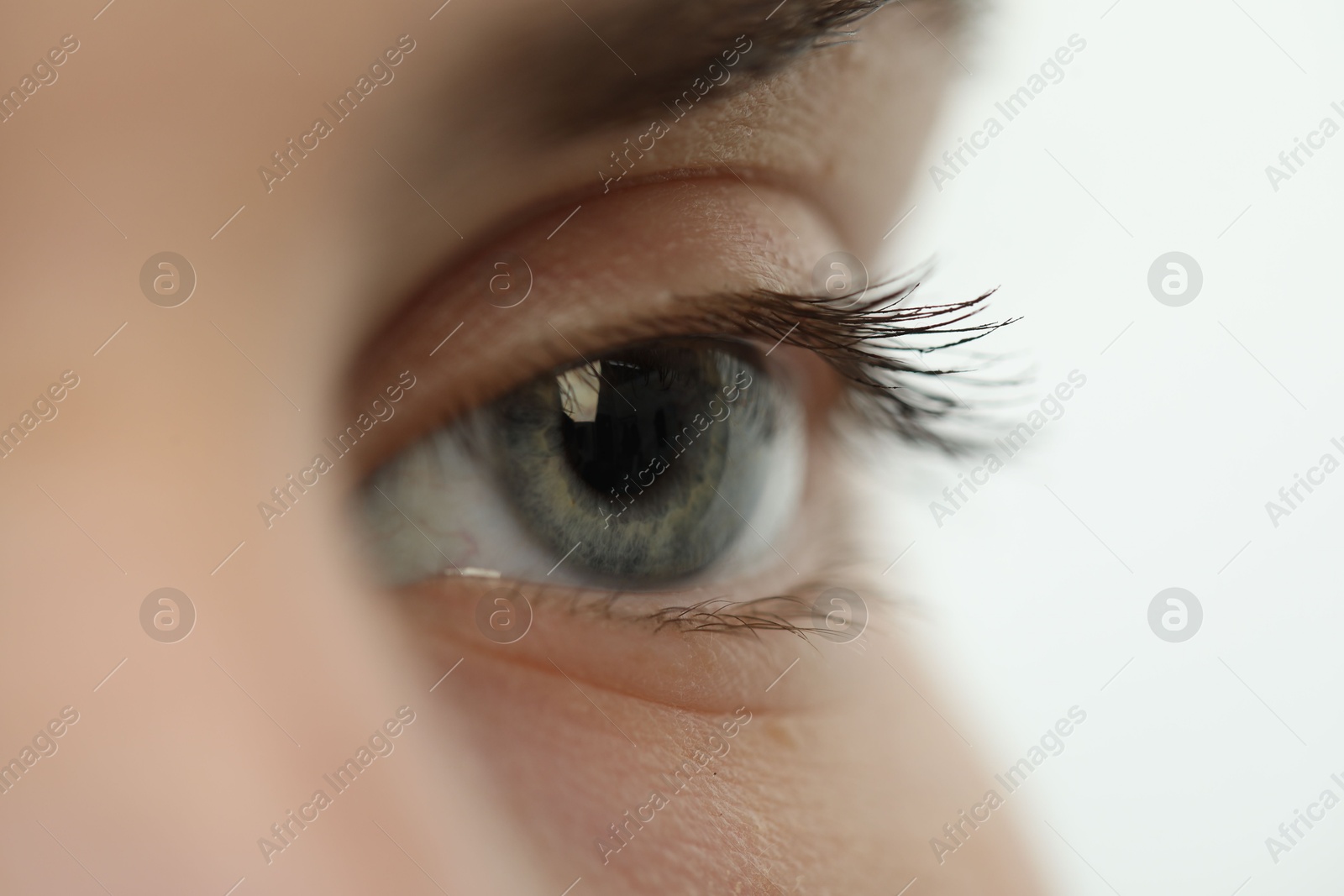 Photo of Macro view of young woman with beautiful blue eyes on white background