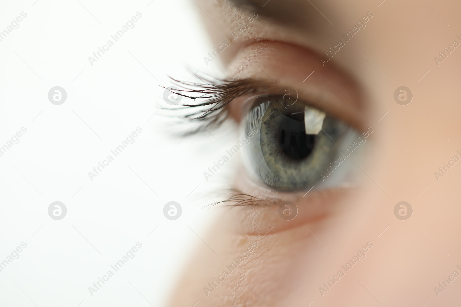 Photo of Macro view of young woman with beautiful blue eyes on white background