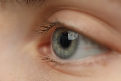 Photo of Macro view of young woman with beautiful blue eyes