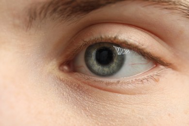 Macro view of young woman with beautiful blue eyes