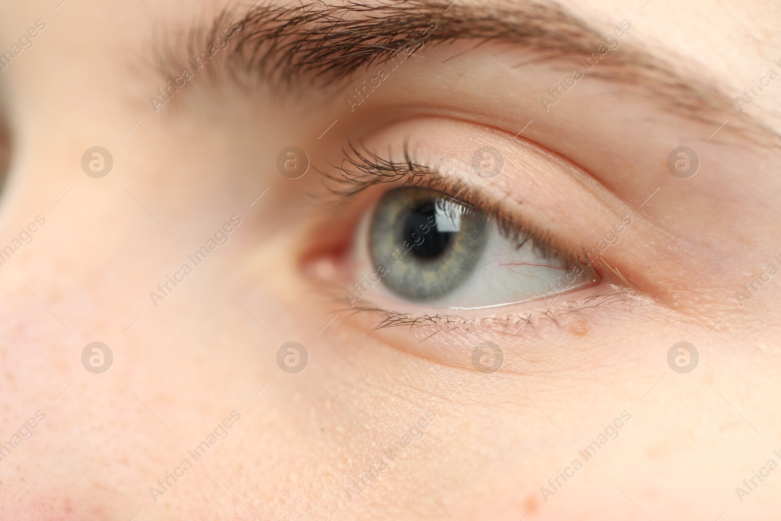 Photo of Macro view of young woman with beautiful blue eyes