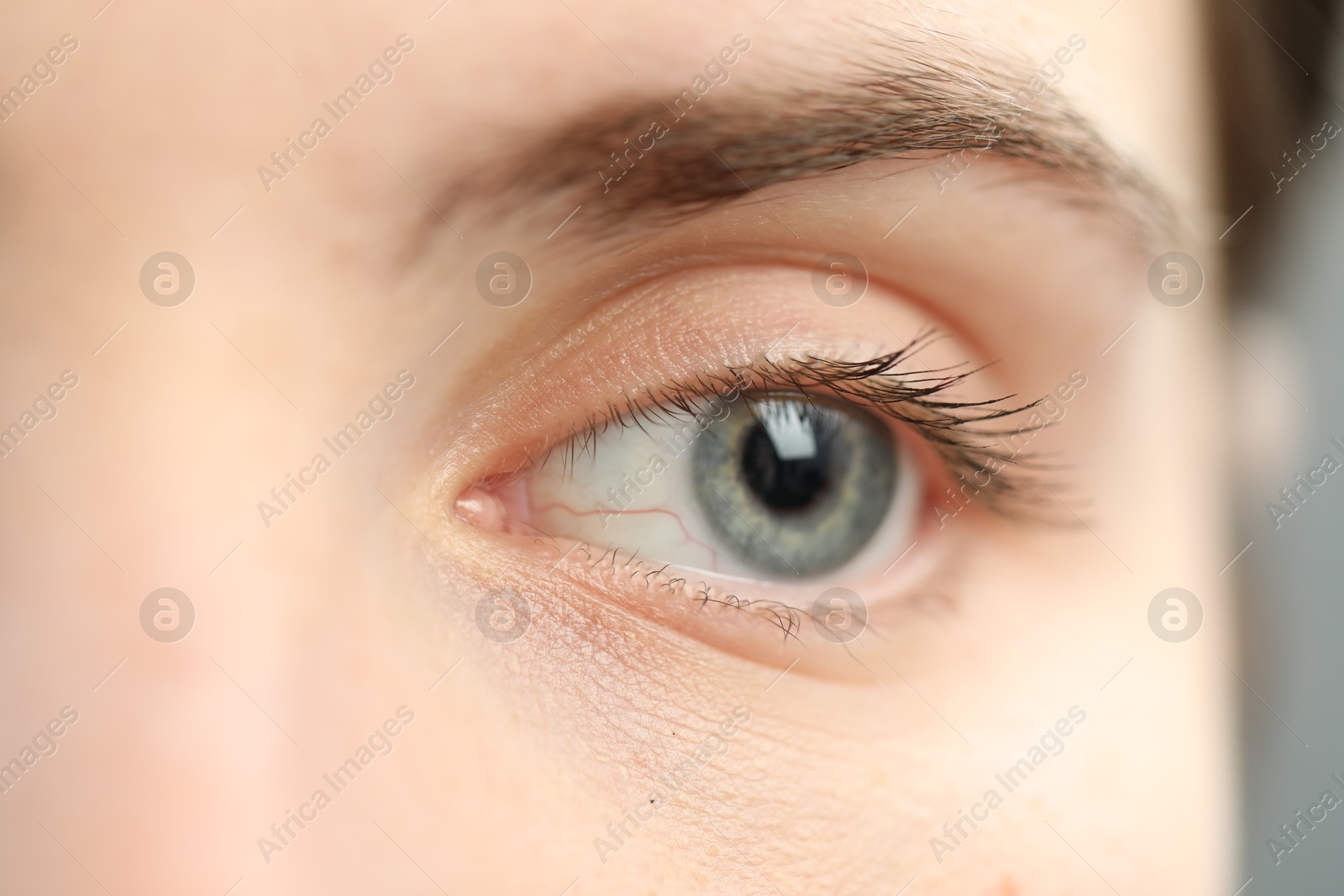 Photo of Macro view of young woman with beautiful blue eyes