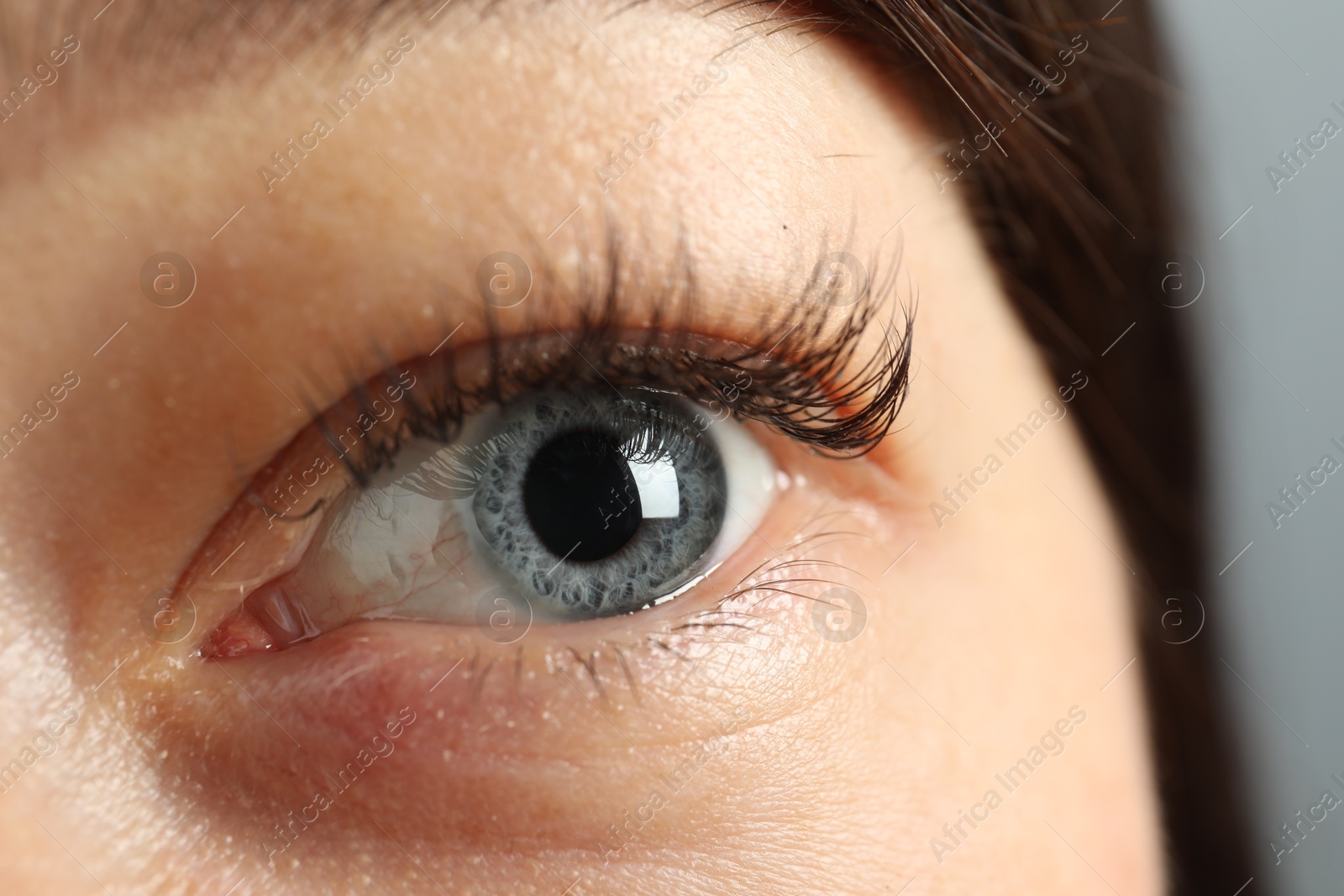 Photo of Macro view of young woman with beautiful blue eyes