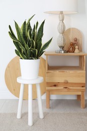 Photo of Stool, lamp and potted houseplant at home