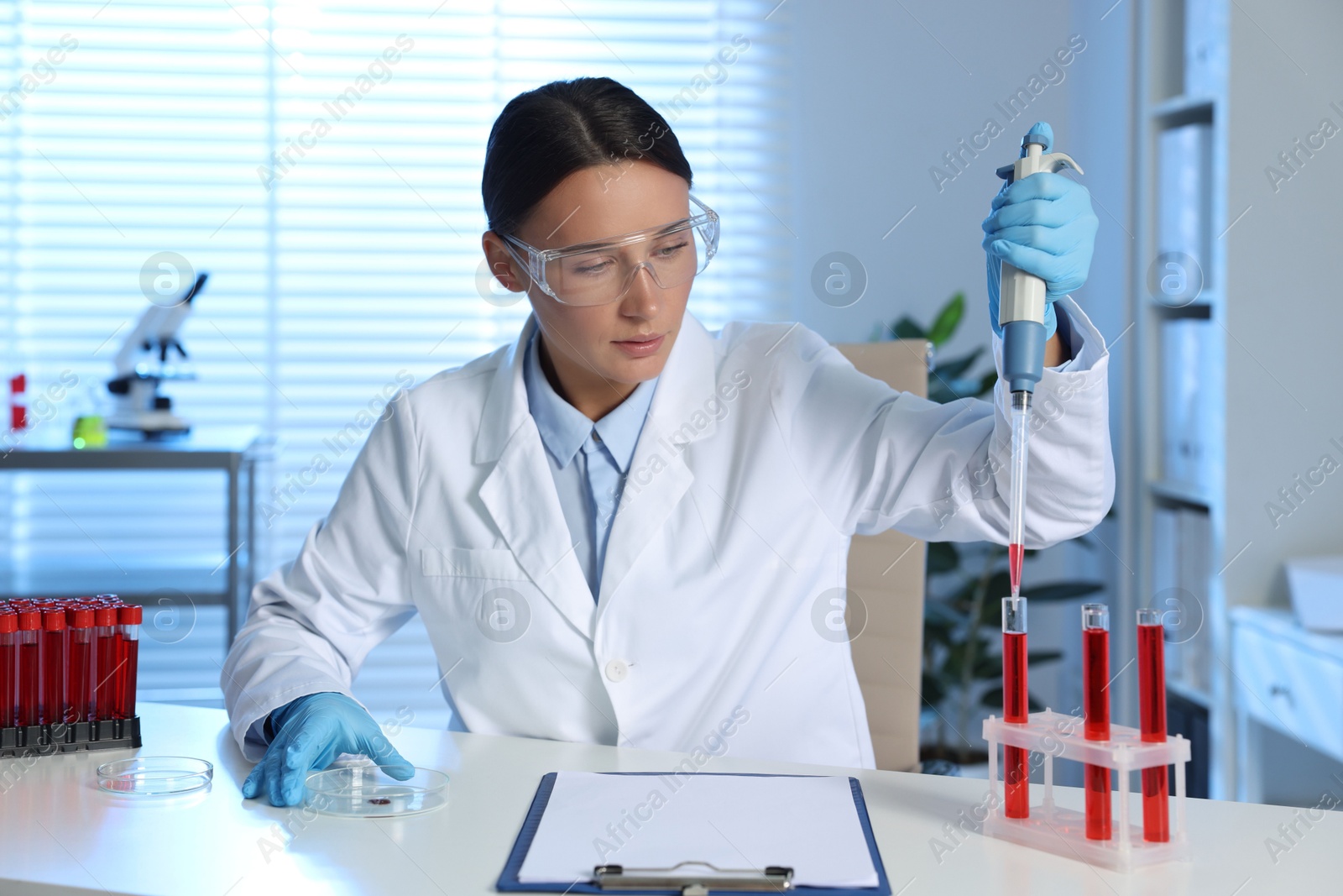 Photo of Laboratory testing. Doctor dripping blood sample into test tube at table indoors