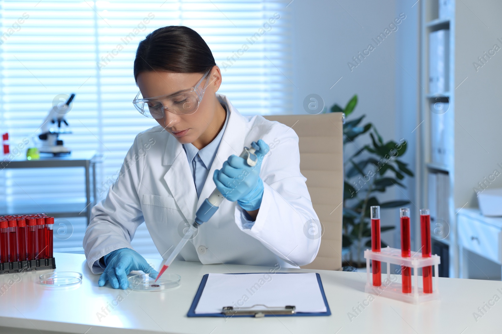 Photo of Laboratory testing. Doctor dripping blood sample into Petri dish at table indoors