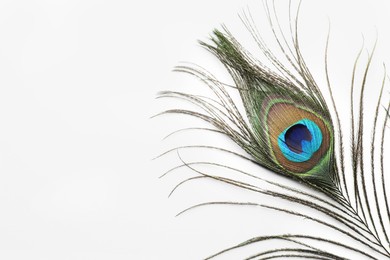 Photo of One beautiful peacock feather isolated on white