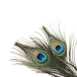 Photo of Two beautiful peacock feathers isolated on white