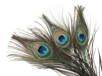 Photo of Three beautiful peacock feathers isolated on white