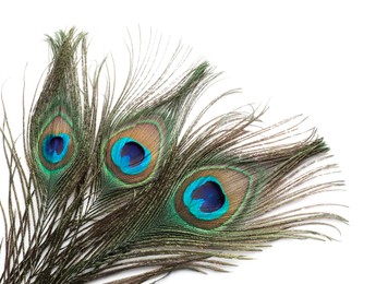 Three beautiful peacock feathers isolated on white