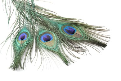 Three beautiful peacock feathers isolated on white