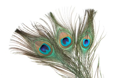 Photo of Three beautiful peacock feathers isolated on white