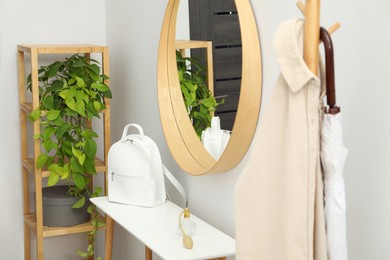 Photo of Clothing rack, mirror, houseplant, storage bench and shelving unit in hallway