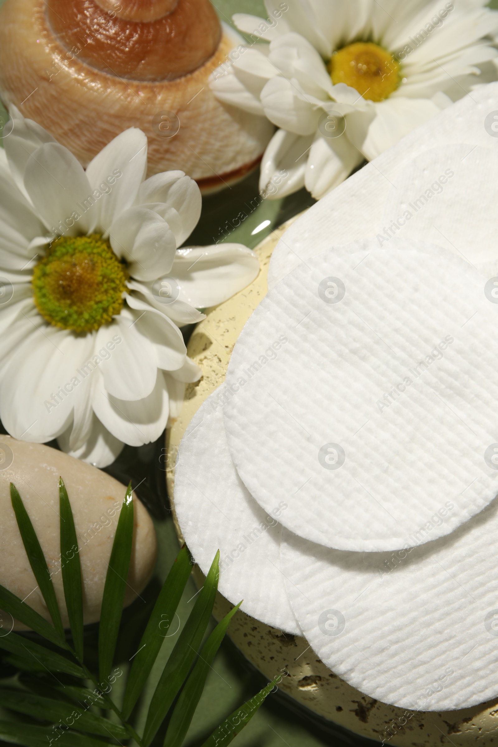 Photo of Flat lay composition with cotton pads on green table