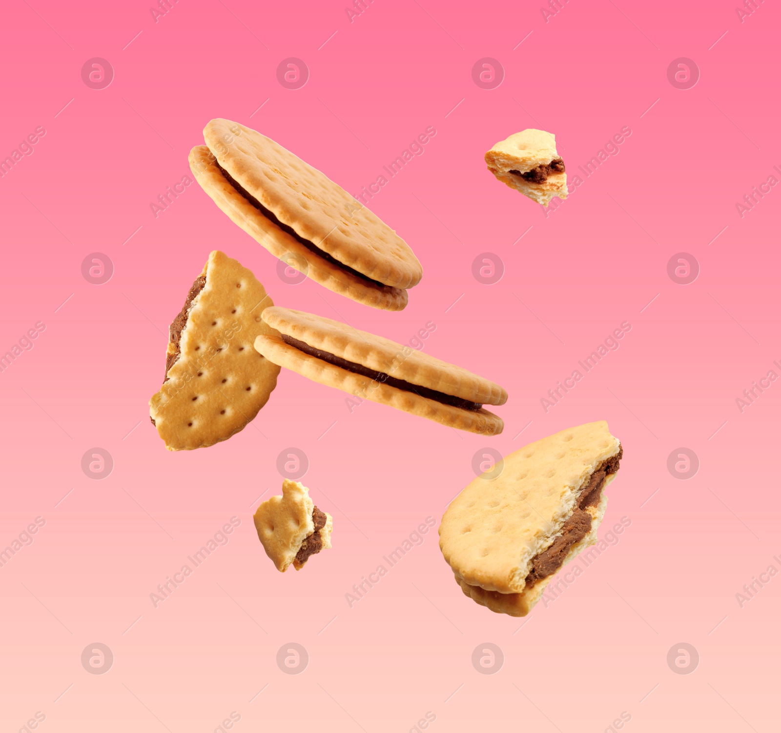 Image of Tasty broken sandwich cookies in air on pink gradient background