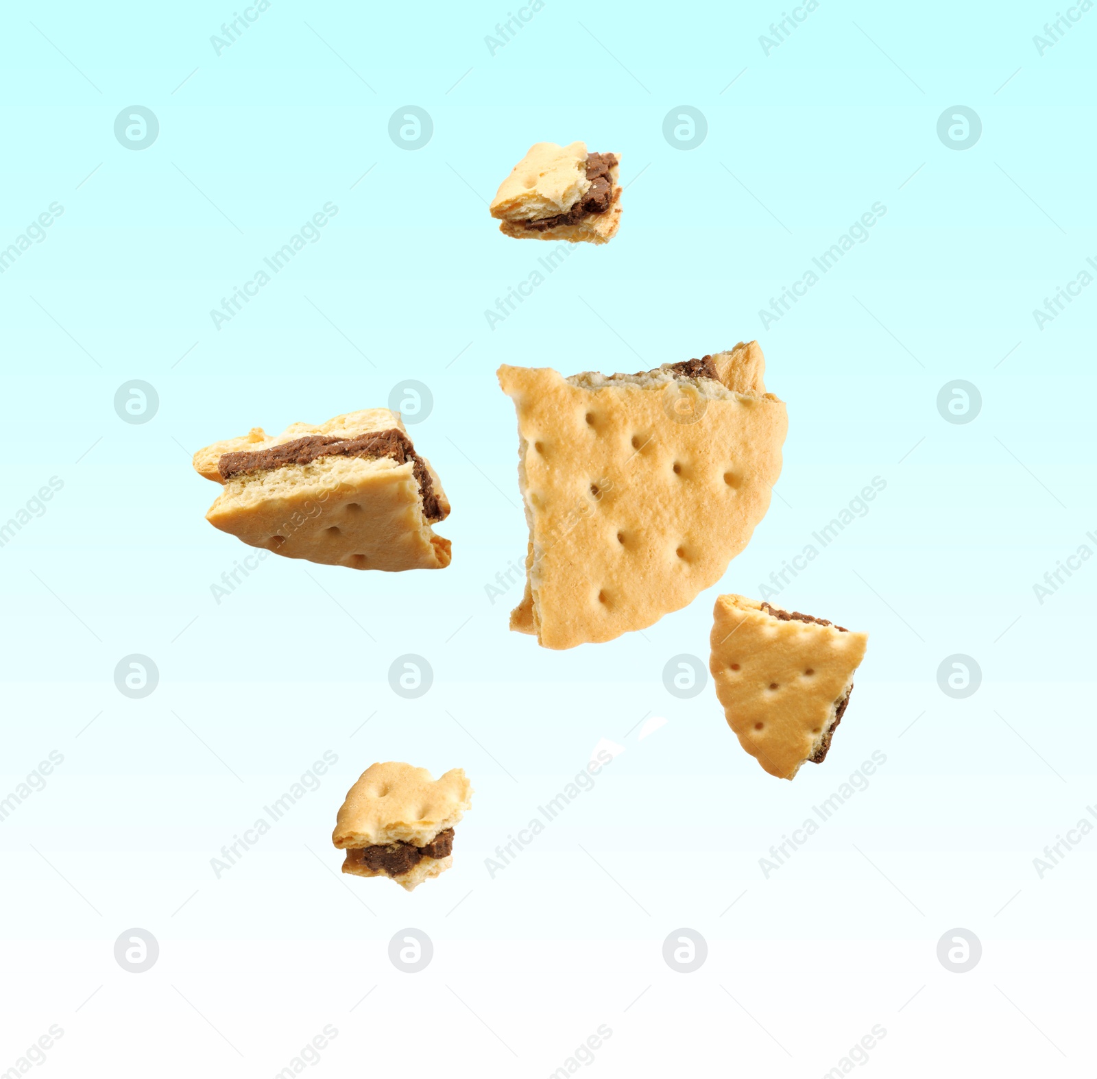 Image of Tasty broken sandwich cookie in air on light blue gradient background