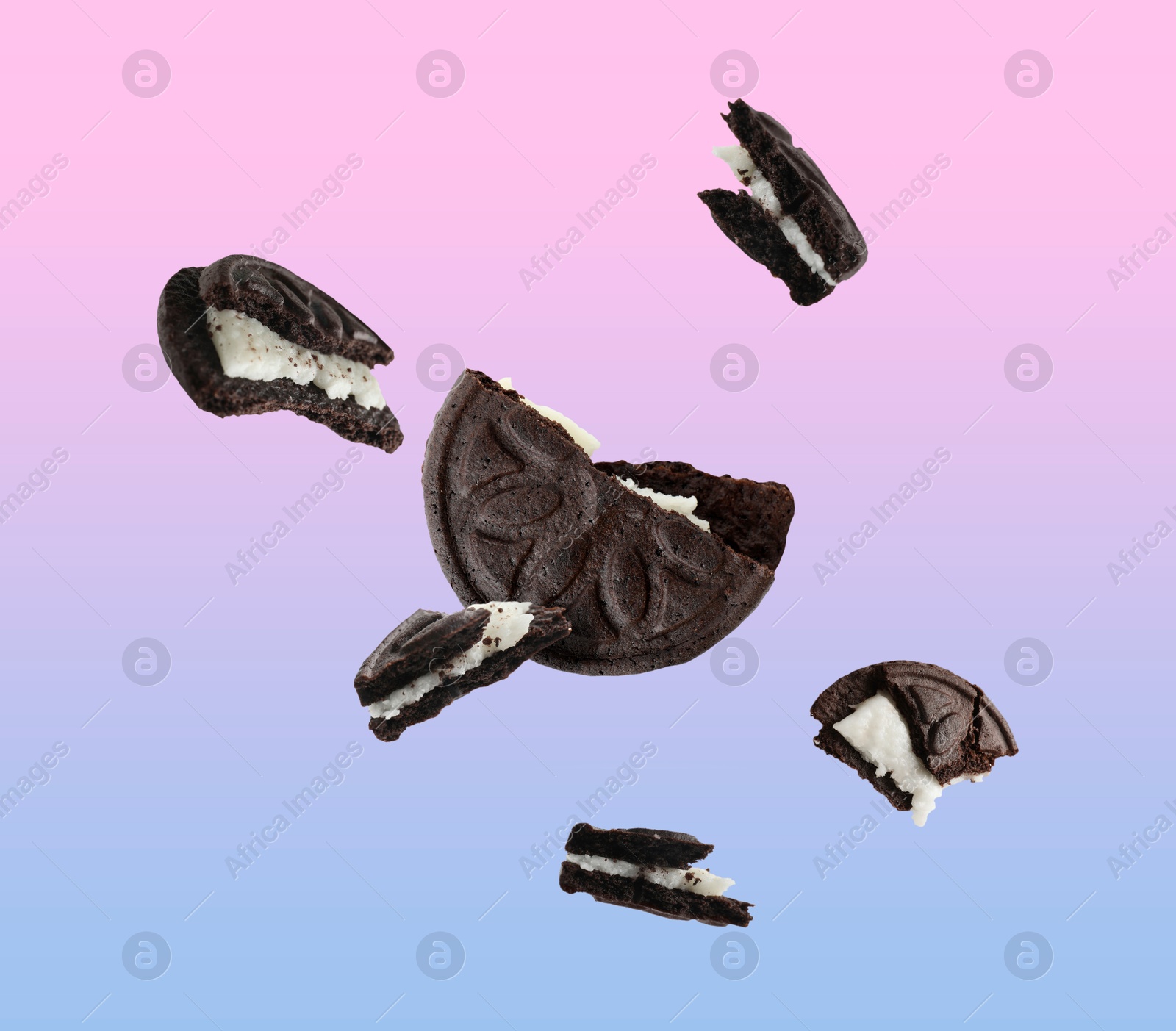 Image of Tasty broken sandwich cookie in air on pink blue gradient background