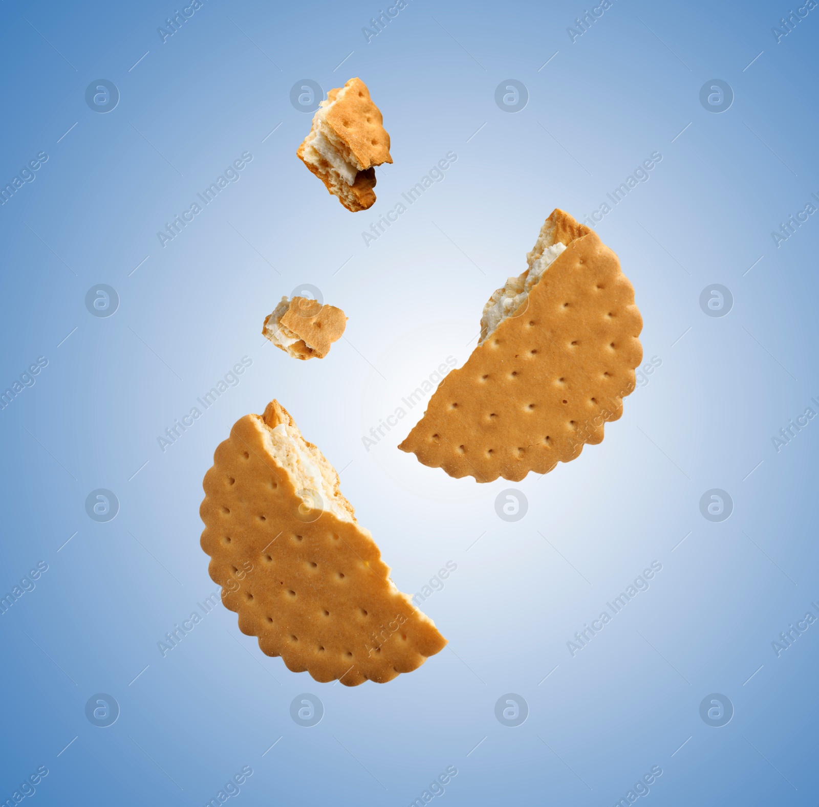 Image of Tasty broken sandwich cookie in air on blue gradient background