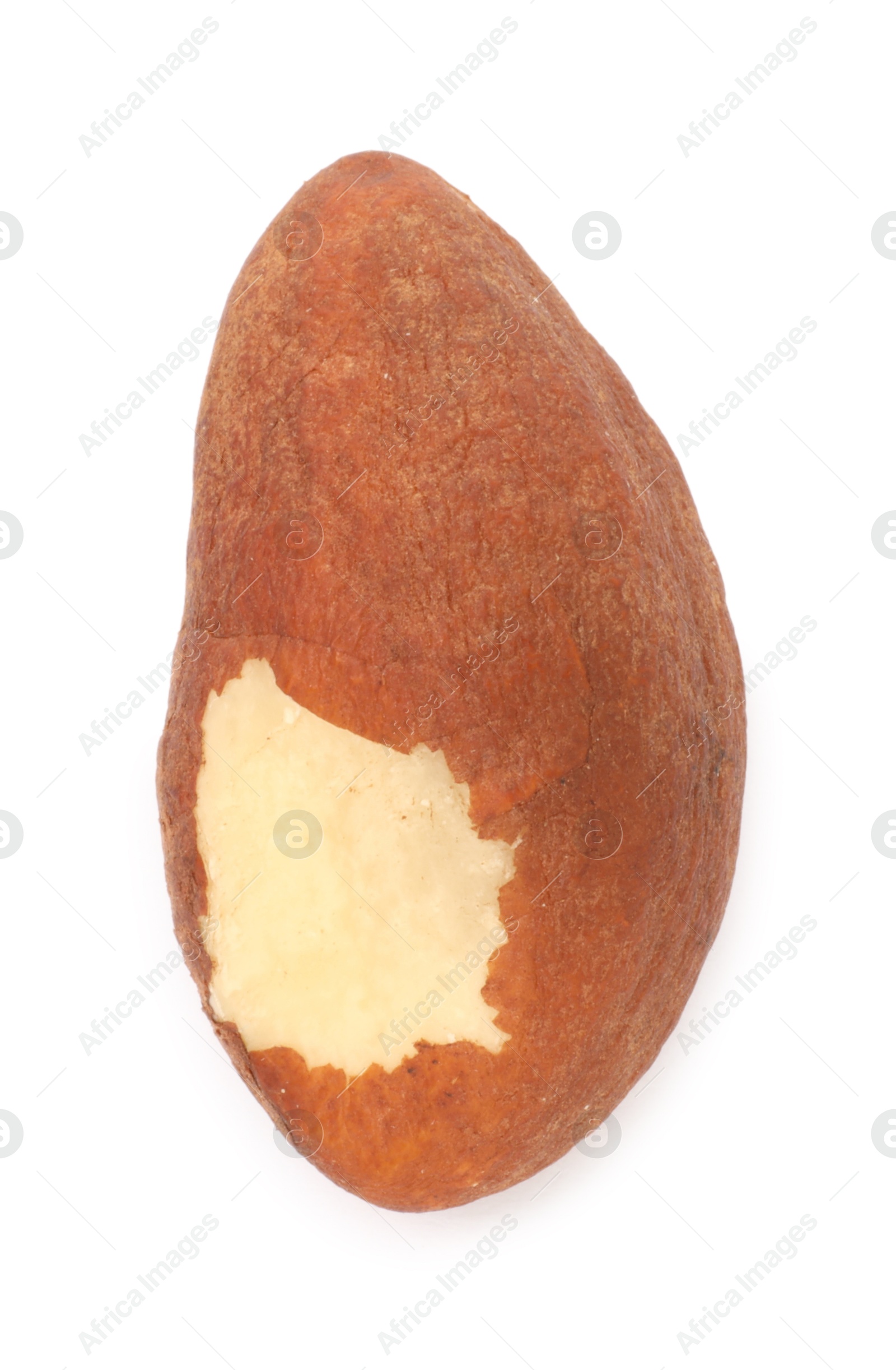 Photo of One tasty Brazil nut isolated on white