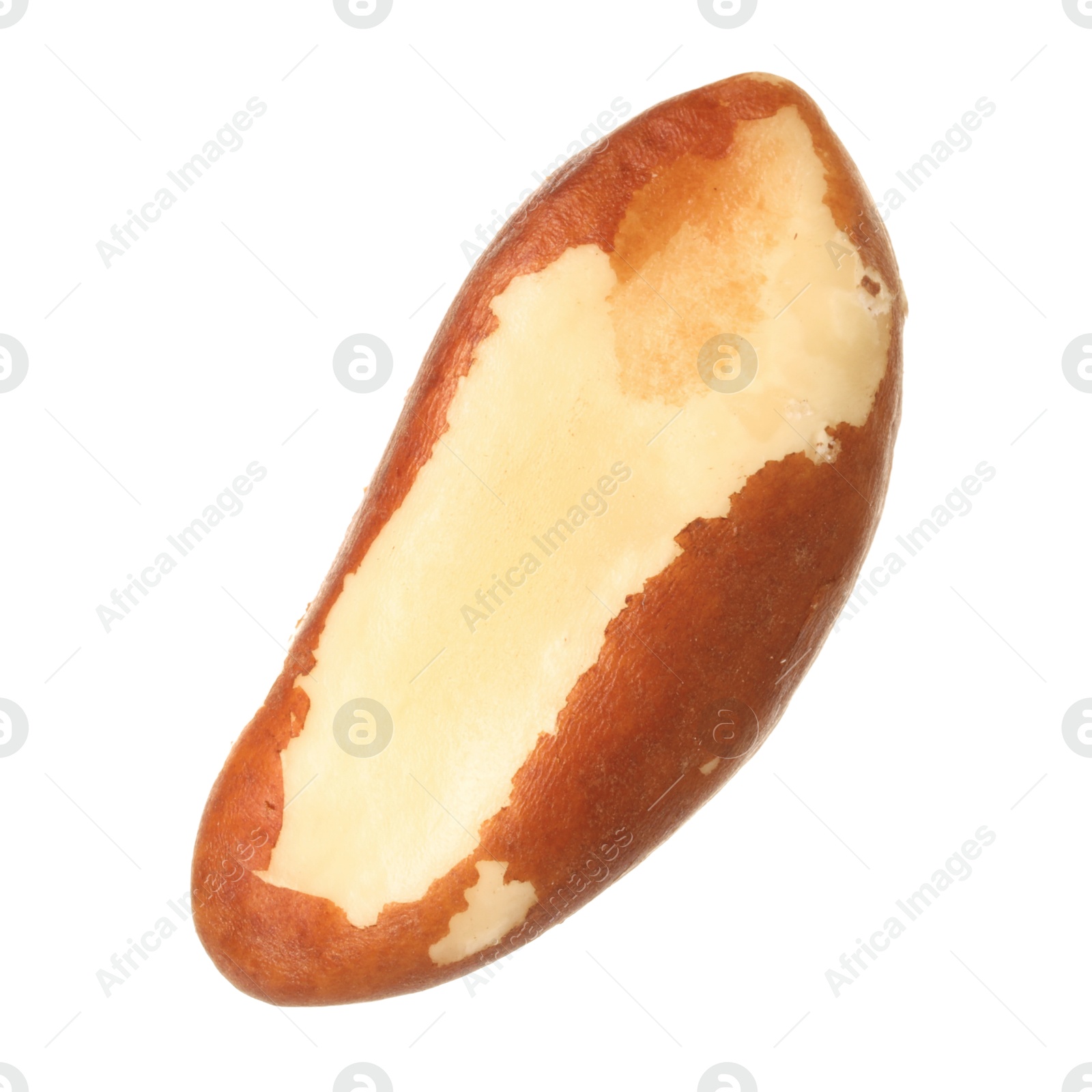 Photo of One tasty Brazil nut isolated on white