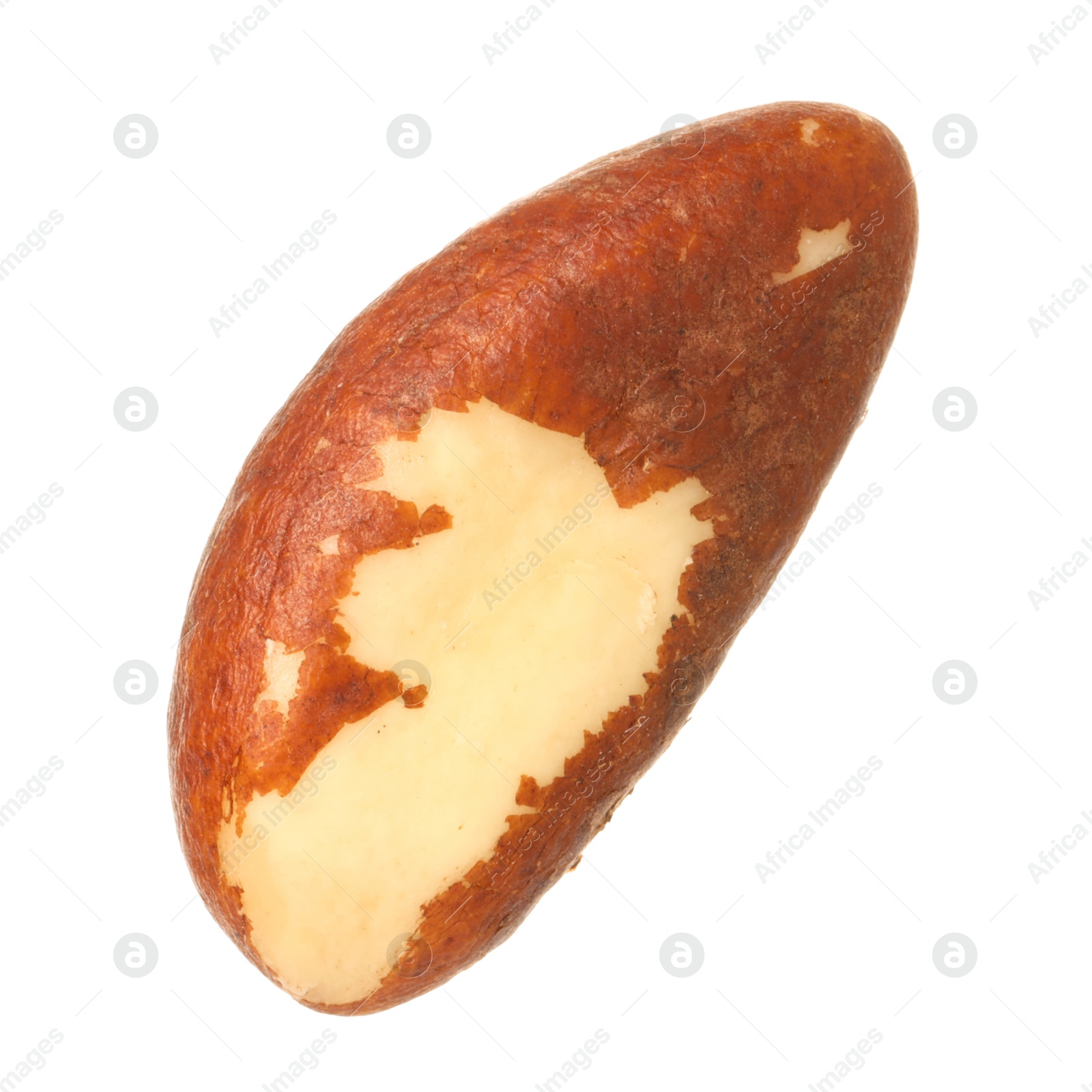 Photo of One tasty Brazil nut isolated on white