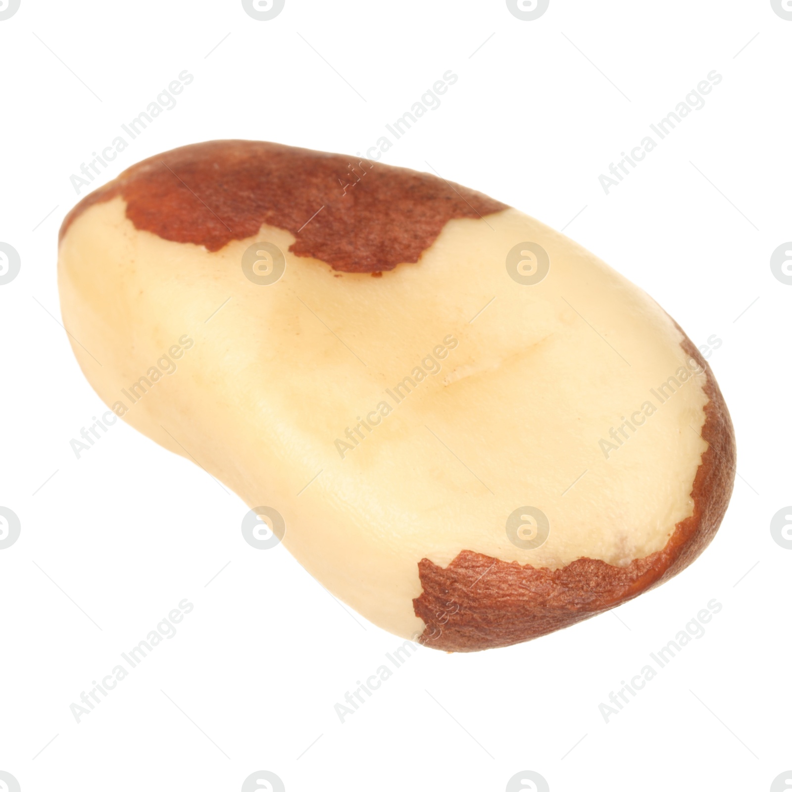 Photo of One tasty Brazil nut isolated on white