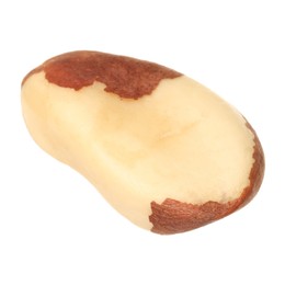 Photo of One tasty Brazil nut isolated on white