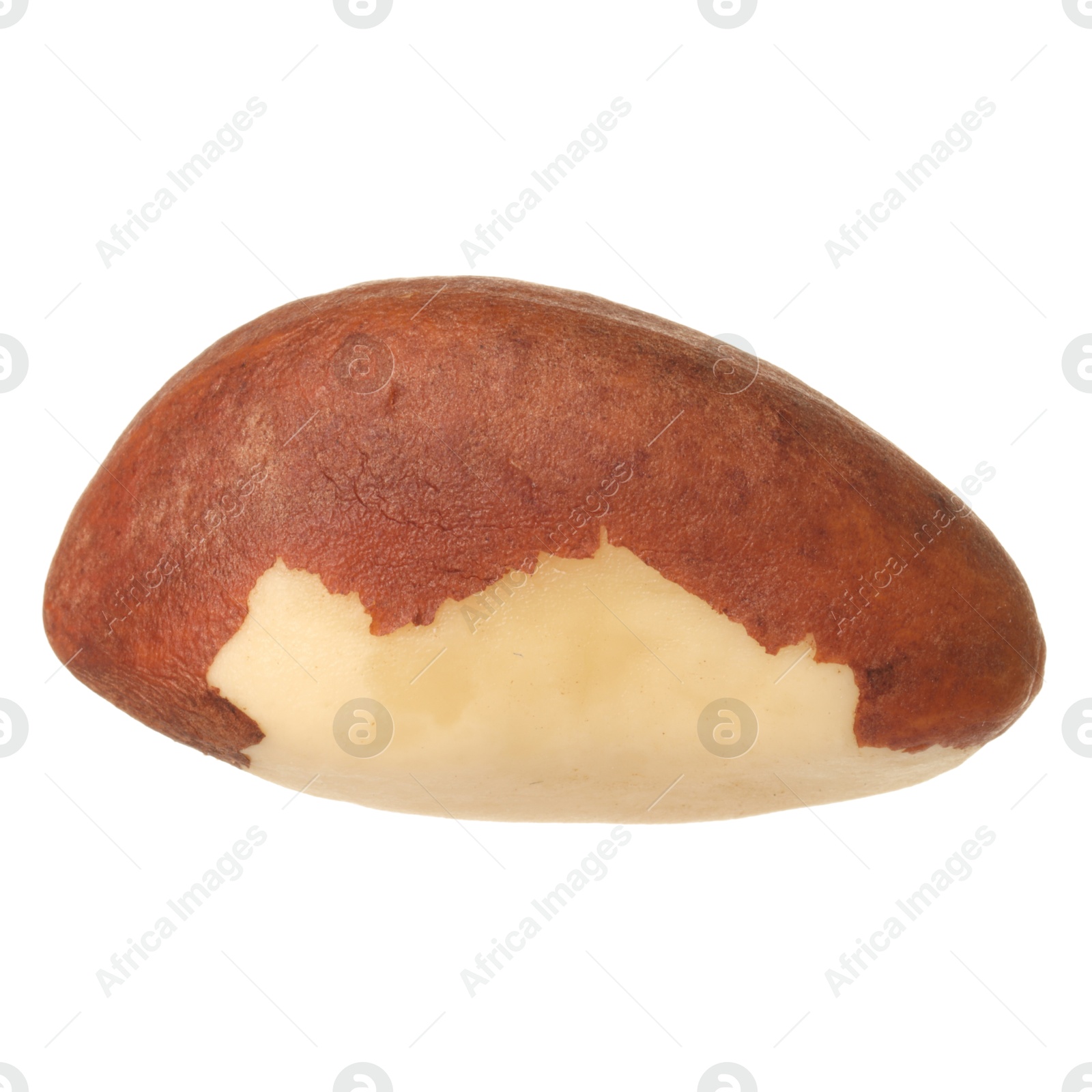 Photo of One tasty Brazil nut isolated on white