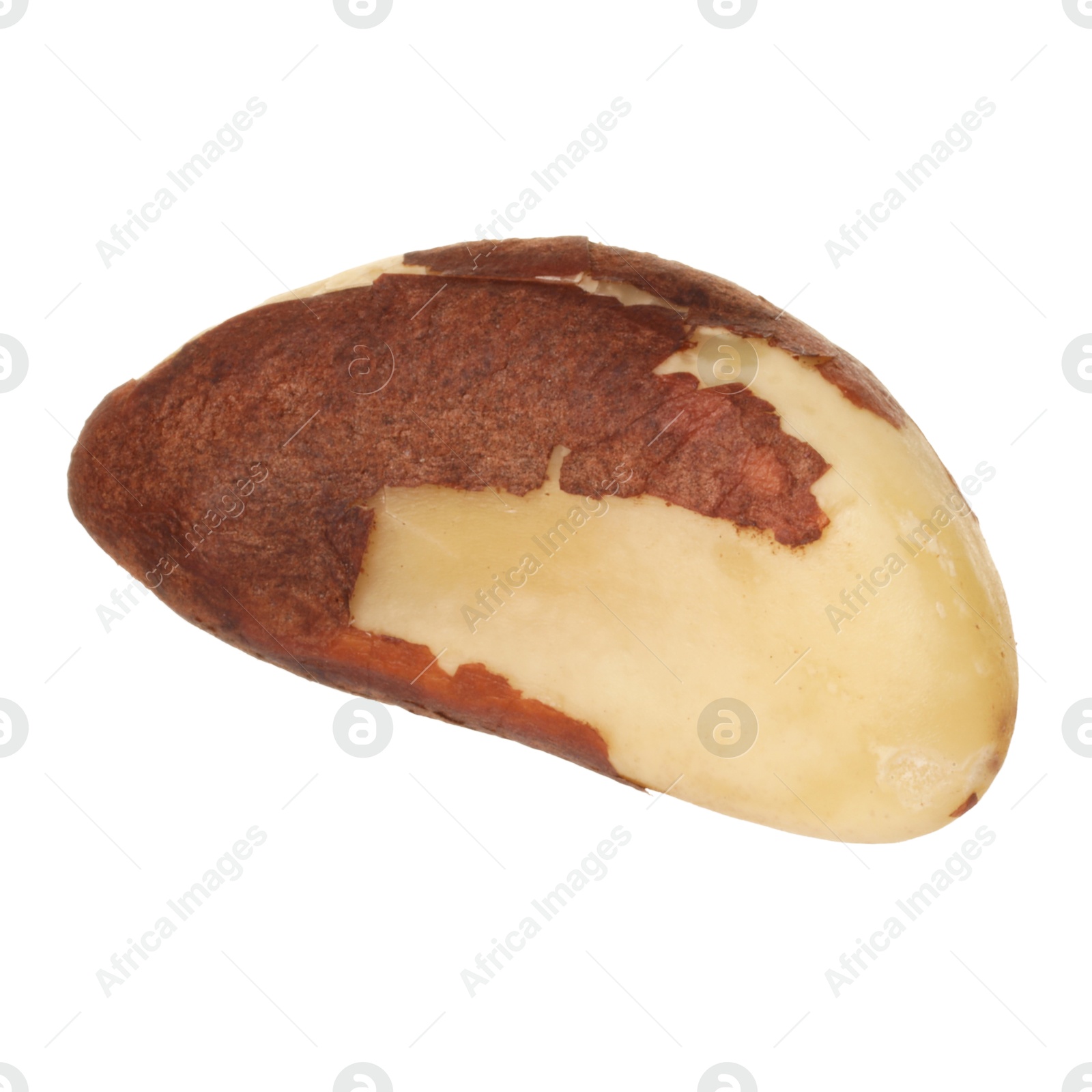 Photo of One tasty Brazil nut isolated on white