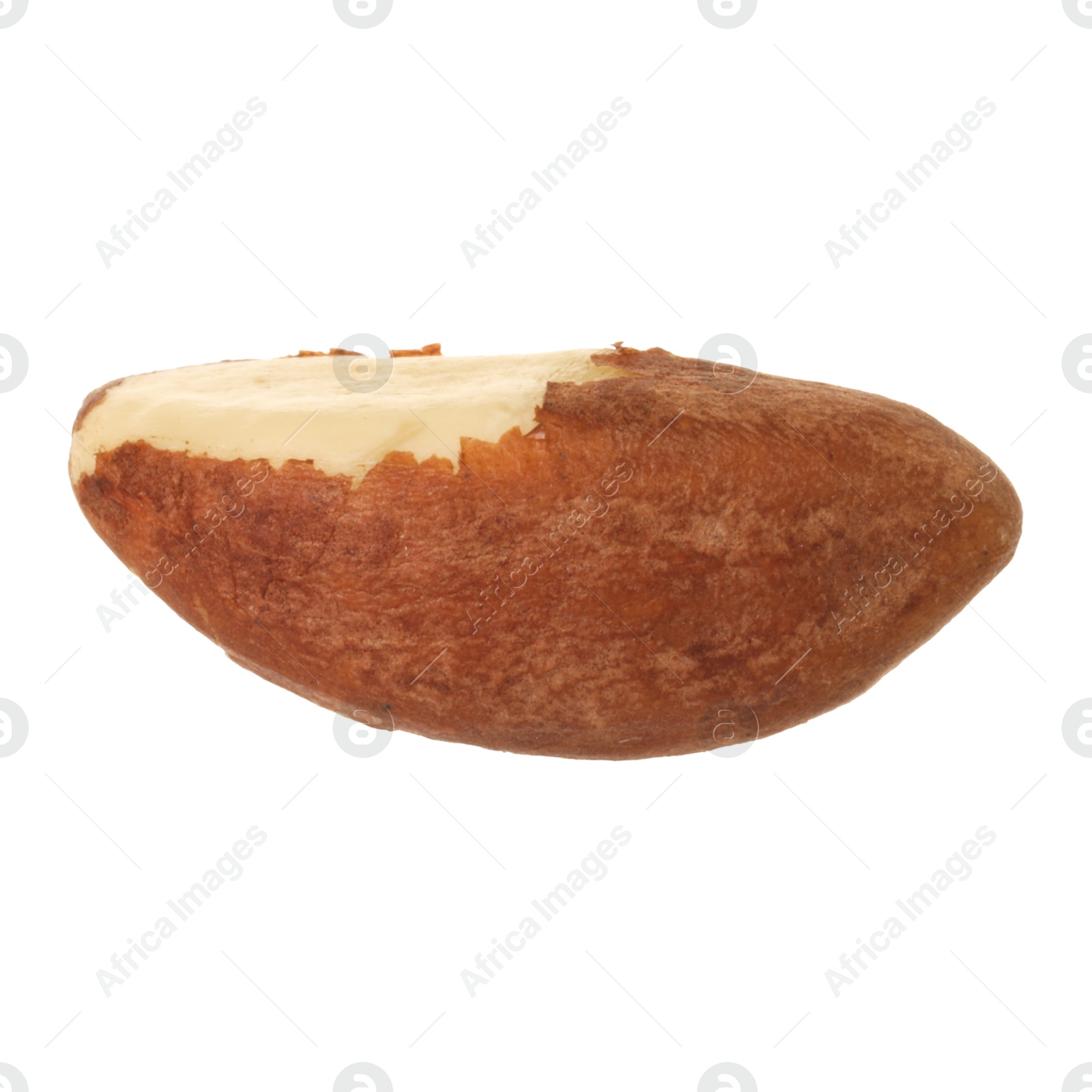 Photo of One tasty Brazil nut isolated on white