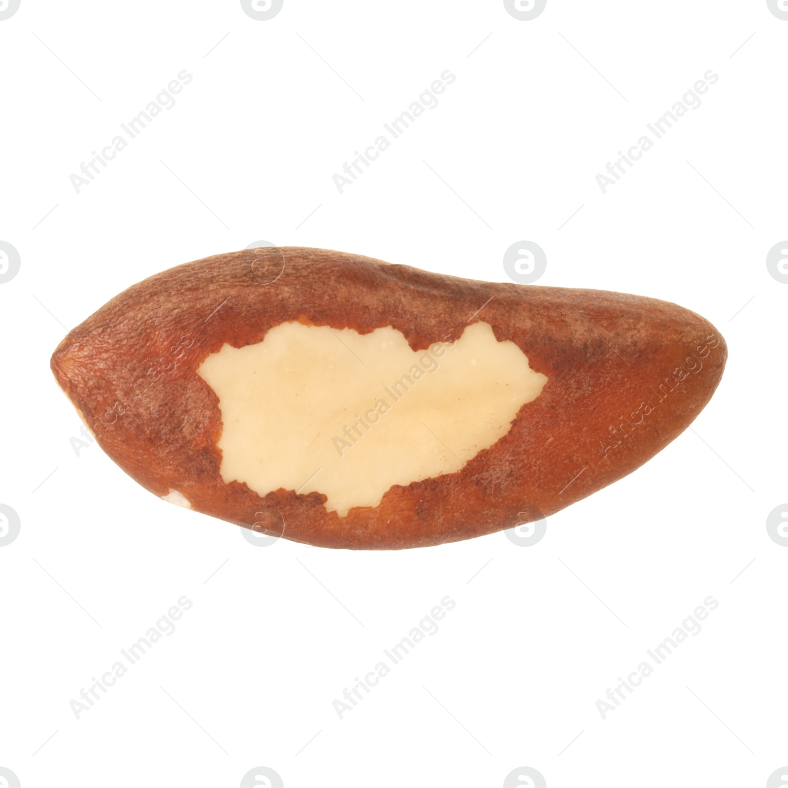 Photo of One tasty Brazil nut isolated on white