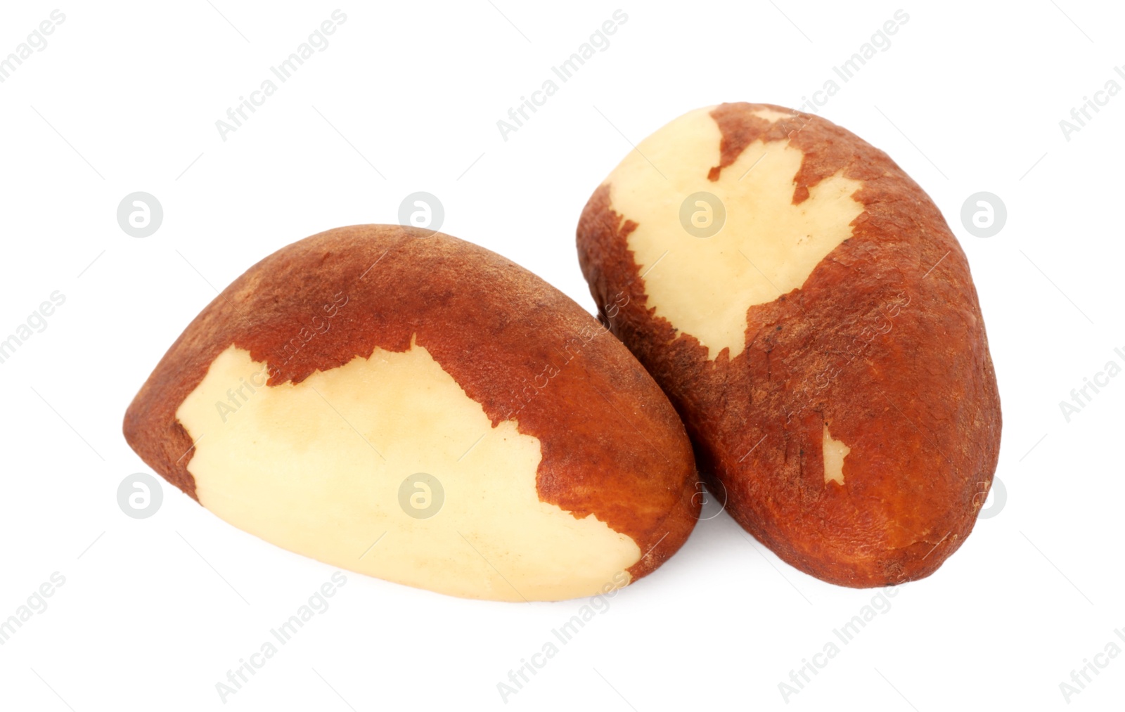 Photo of Two tasty Brazil nuts isolated on white