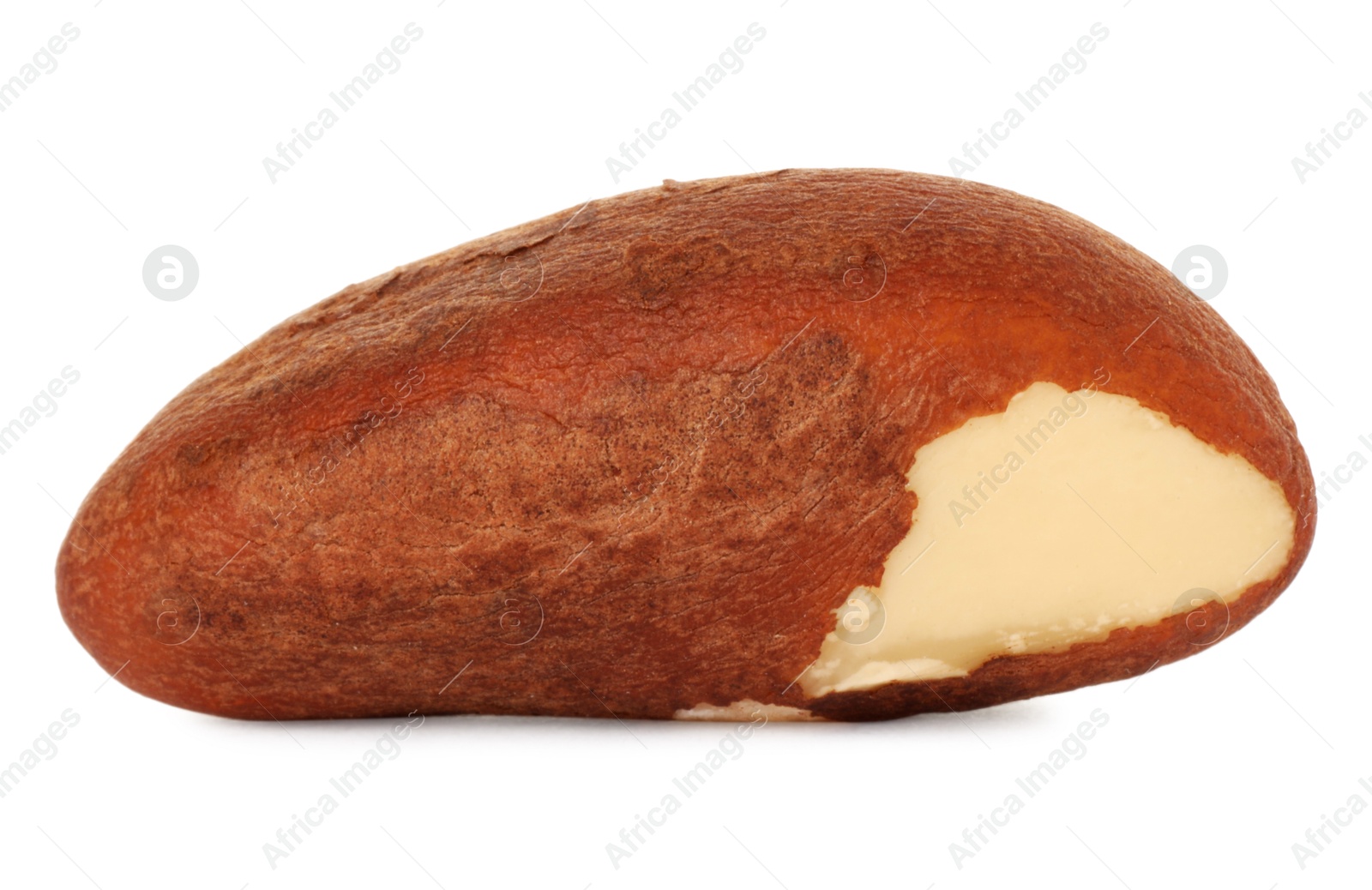 Photo of One tasty Brazil nut isolated on white