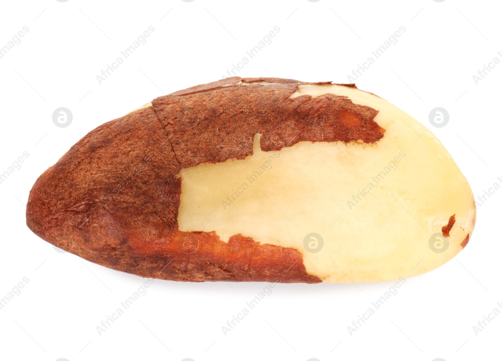 Photo of One tasty Brazil nut isolated on white