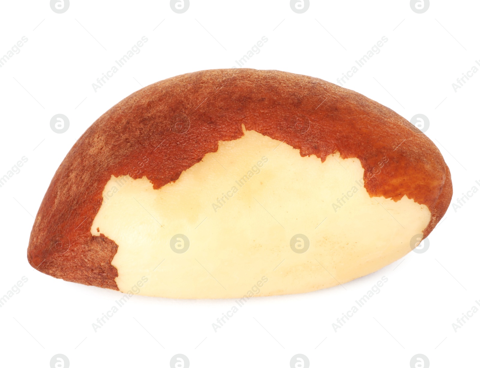 Photo of One tasty Brazil nut isolated on white