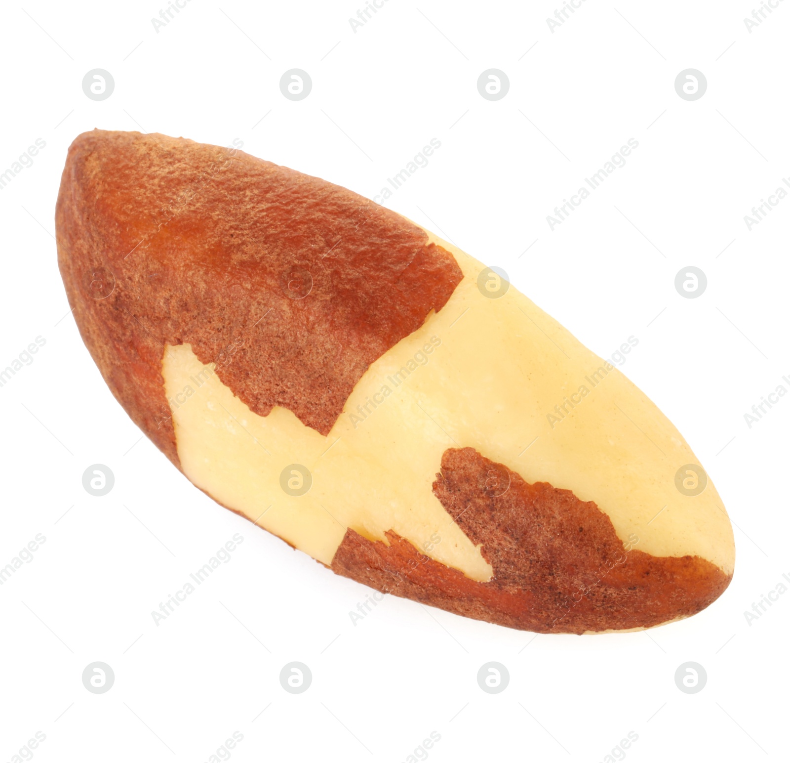 Photo of One tasty Brazil nut isolated on white