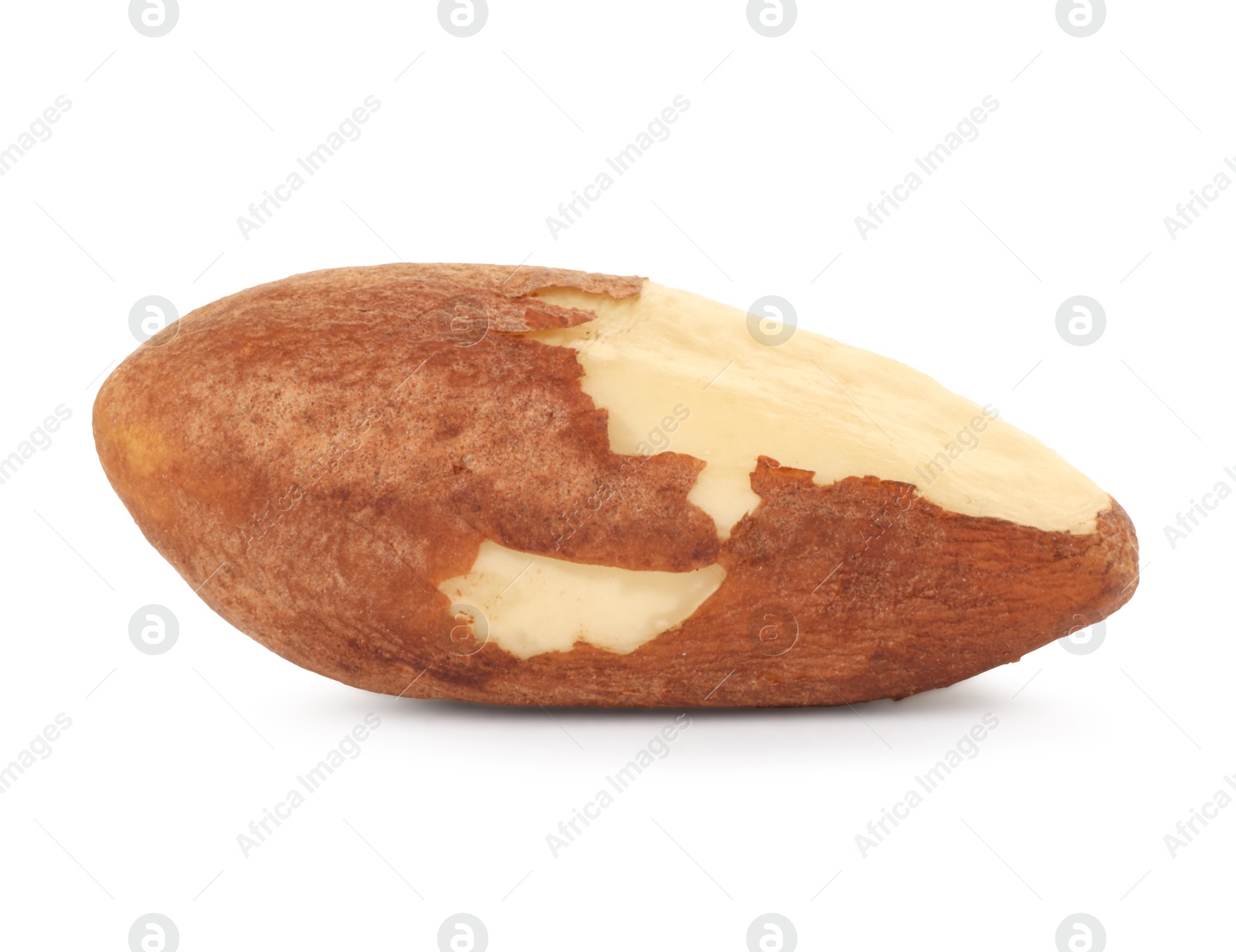 Photo of One tasty Brazil nut isolated on white