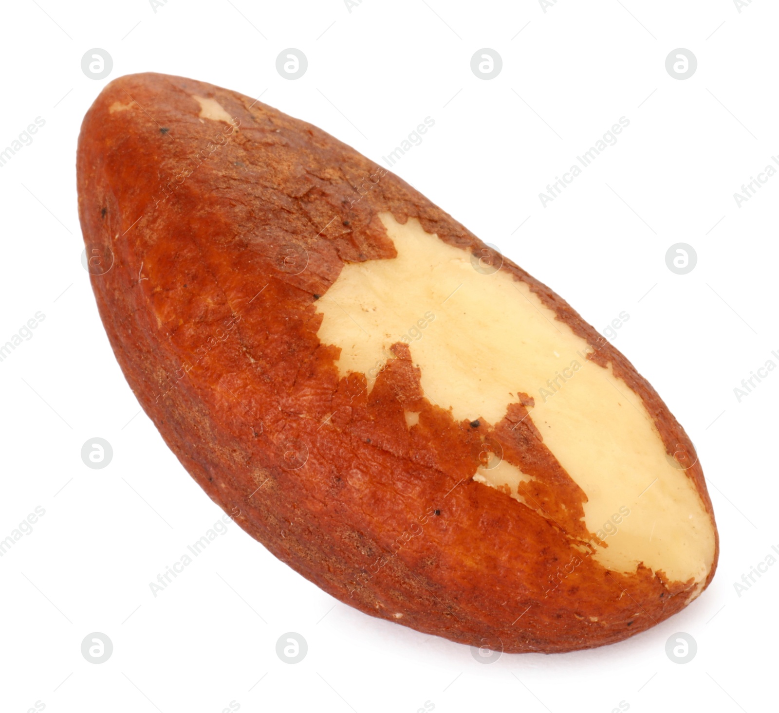 Photo of One tasty Brazil nut isolated on white