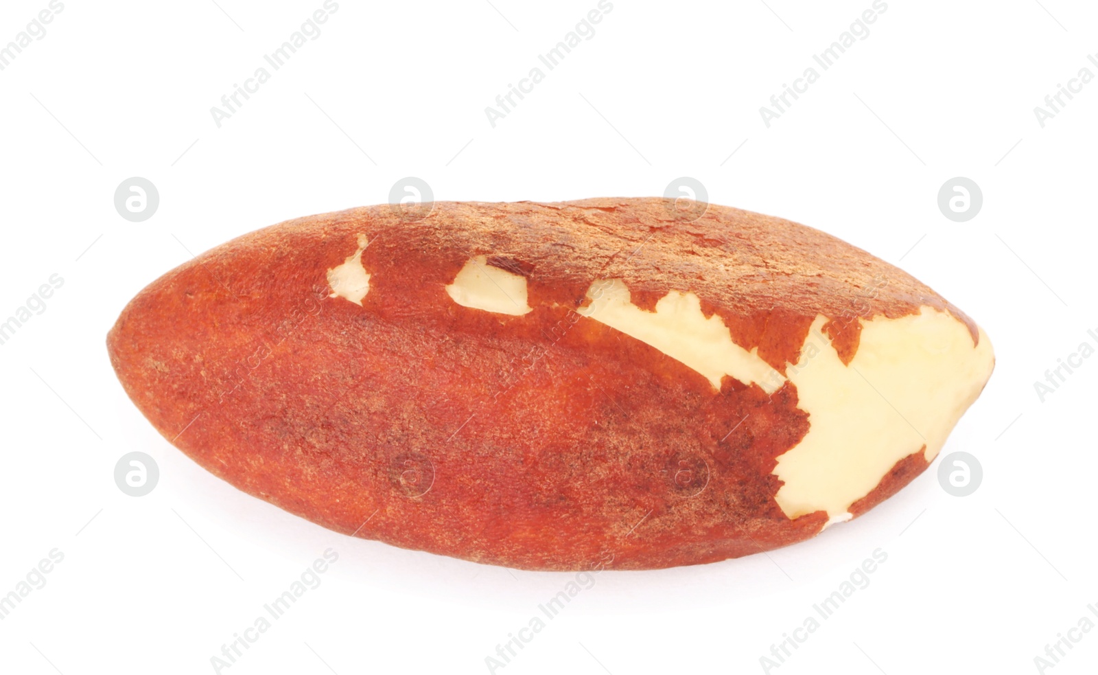 Photo of One tasty Brazil nut isolated on white