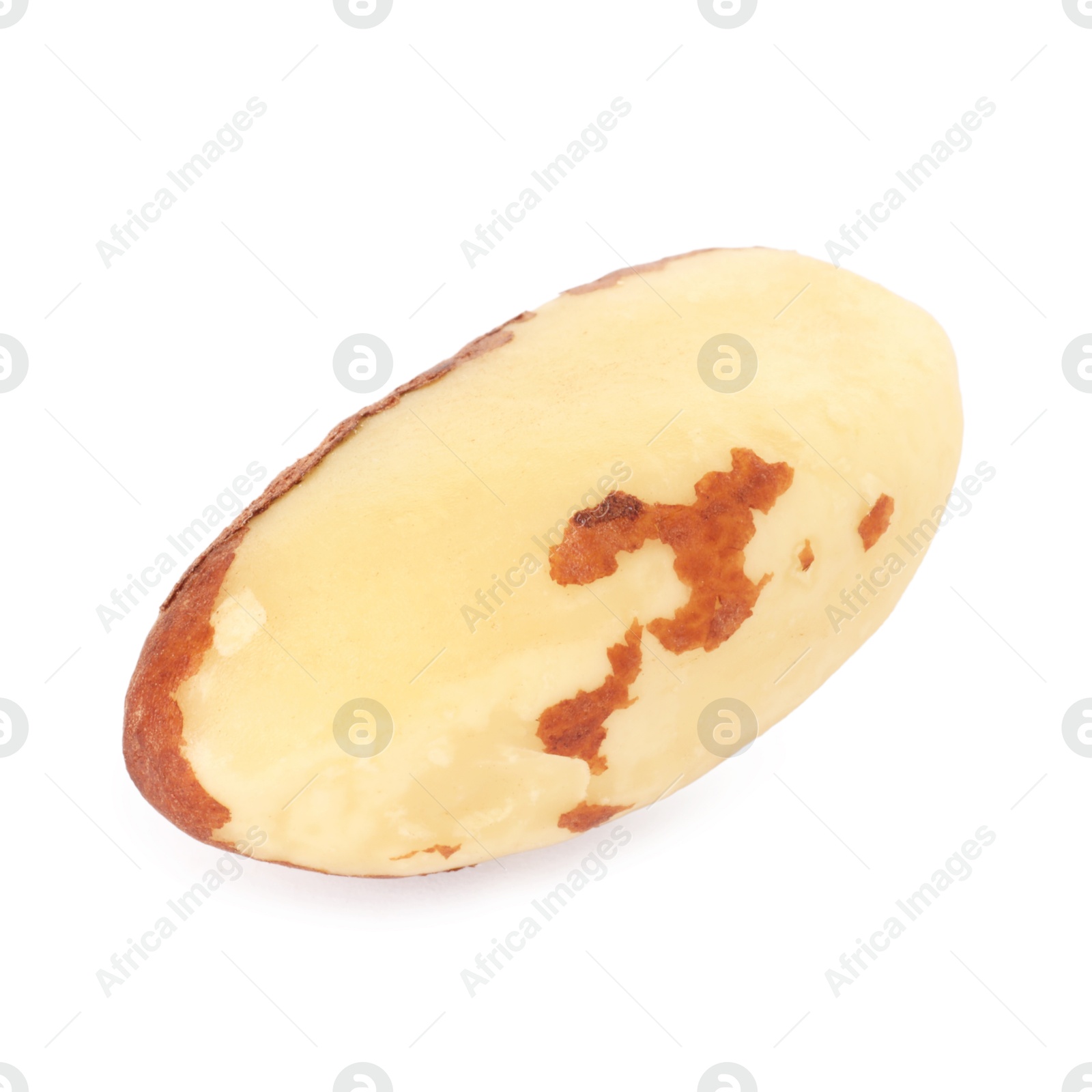 Photo of One tasty Brazil nut isolated on white