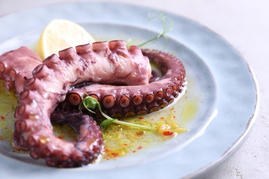 Photo of Appetizing octopus tentacles on light table, closeup