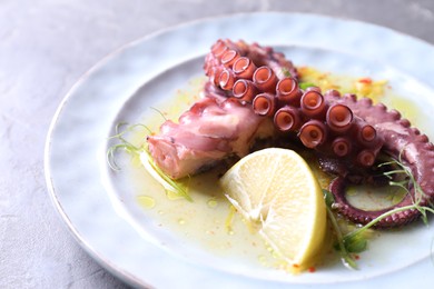 Photo of Appetizing octopus tentacles on light table, closeup