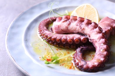 Appetizing octopus tentacles on light table, closeup