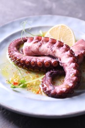 Photo of Appetizing octopus tentacles on light table, closeup